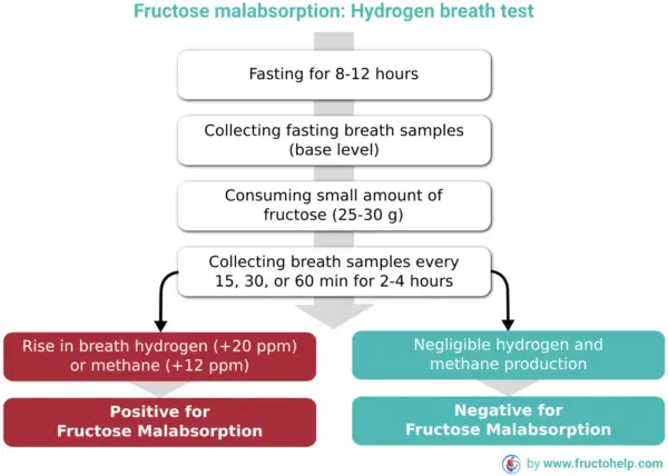 FructoHelp - Fructose Malabsorption Hydrogen Breath Testing Procedure (Dietary Fructose Intolerance) - www.fructohelp.com