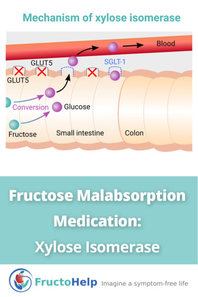 Fructose Malabsorption Medication Xylose Isomerase - FructoHelp - www.fructohelp.com